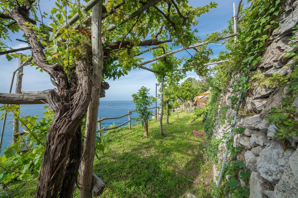 Вилла Cannaverde - Amalfi Coast Camp Майори Экстерьер фото